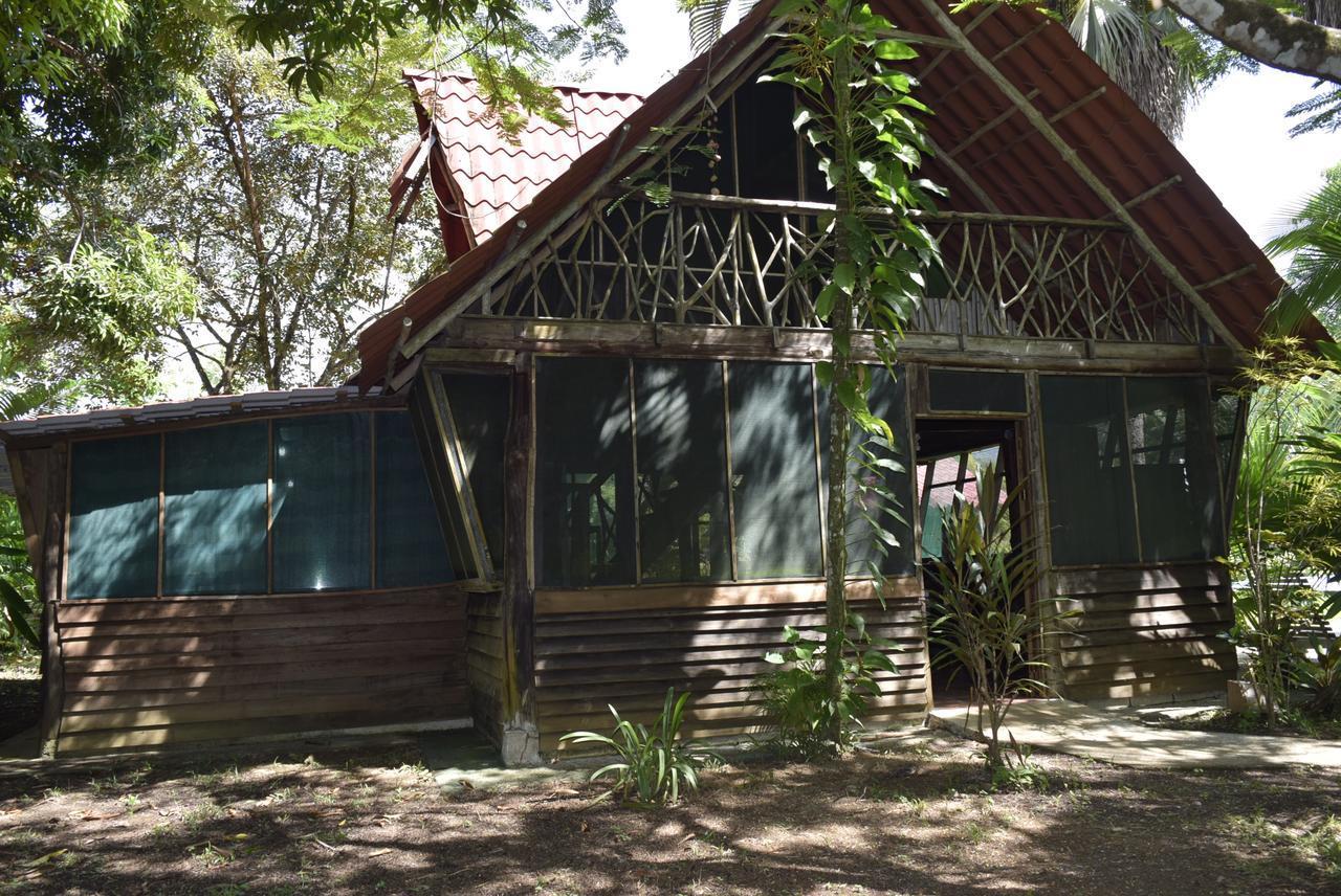 Villas Maria Luisa Увита Экстерьер фото