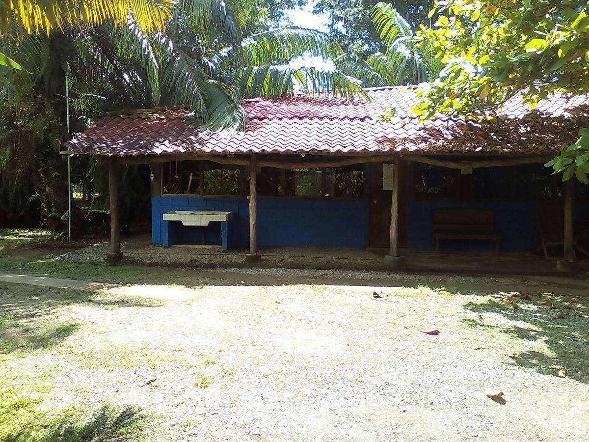 Villas Maria Luisa Увита Экстерьер фото